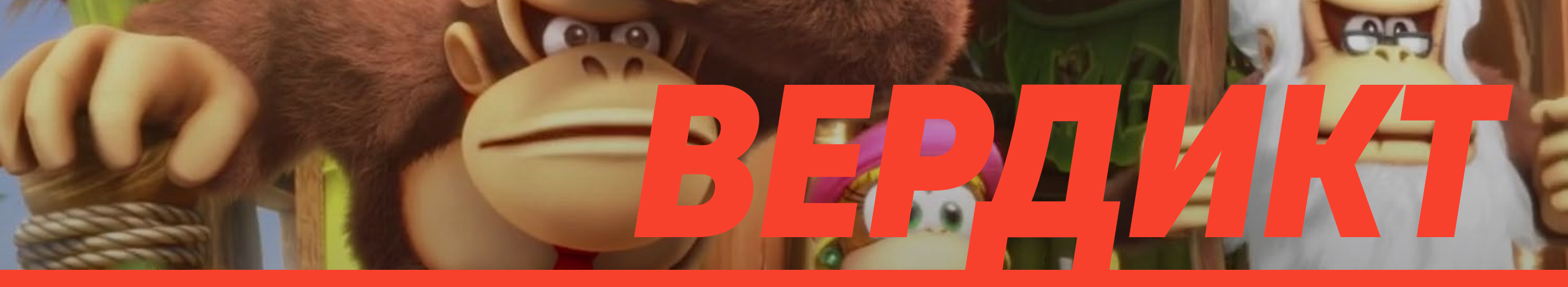 dkctf-verdict